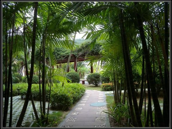 三亚自由行攻略(美食+美景+美图)_三亚旅游攻