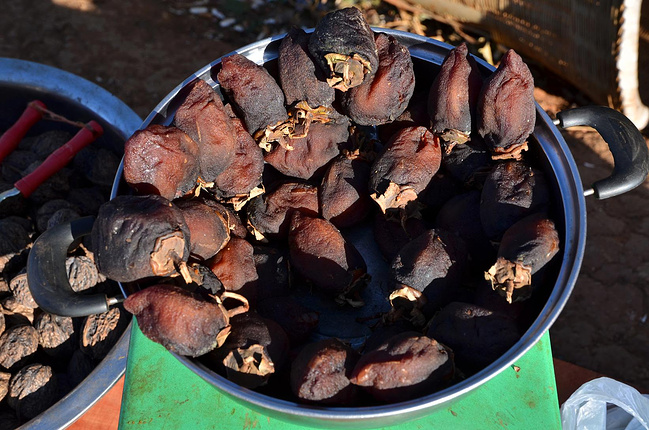 美丽云南冬季之旅_丽江旅游攻略_自助游攻略_去哪儿攻略社区