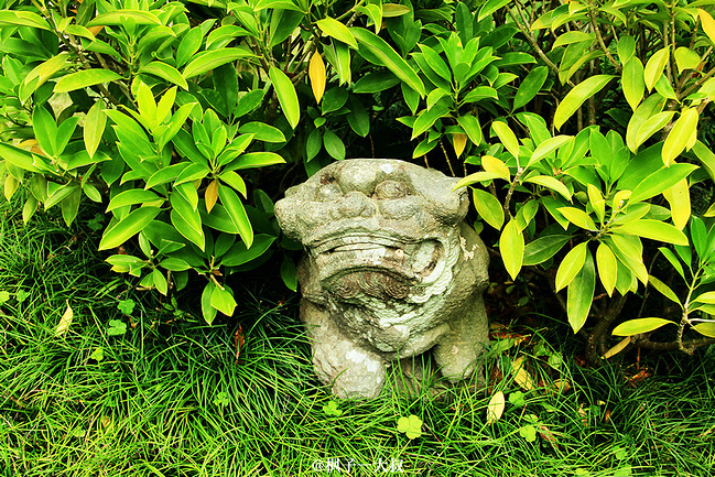 清新永泰,千年嵩口古镇!_福州旅游攻略