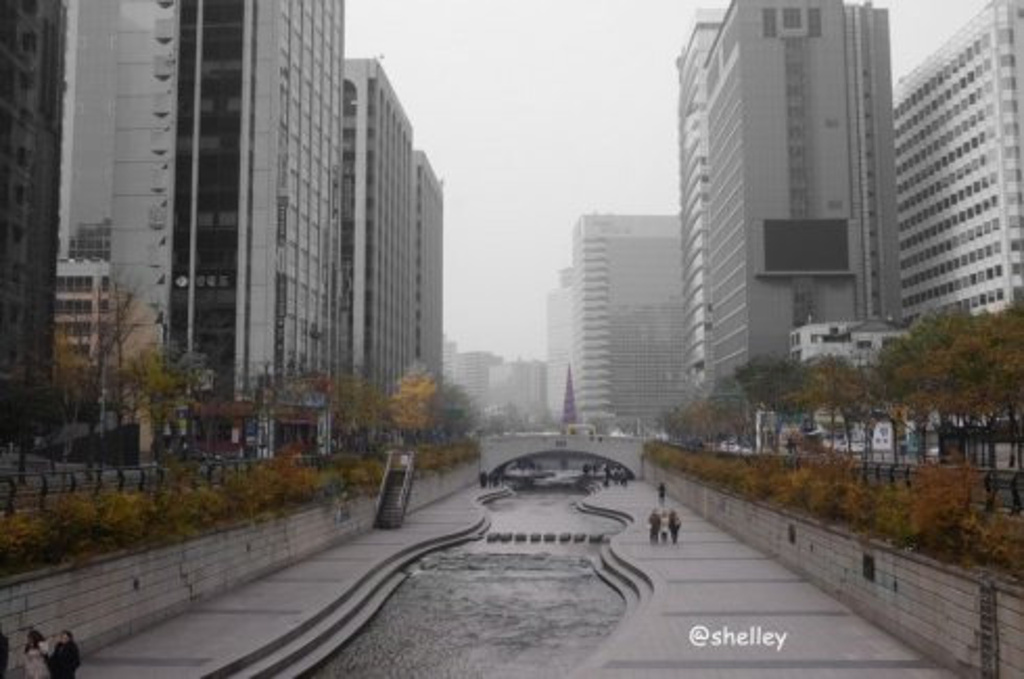 2015我们在东和免税店买的东西可以说是最多