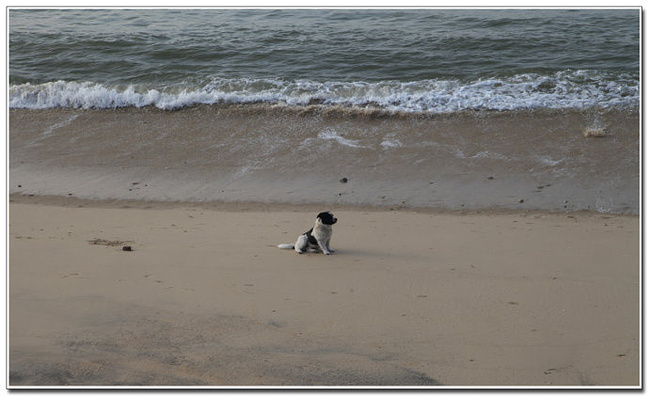 冬季到厦门去看海_厦门旅游攻略
