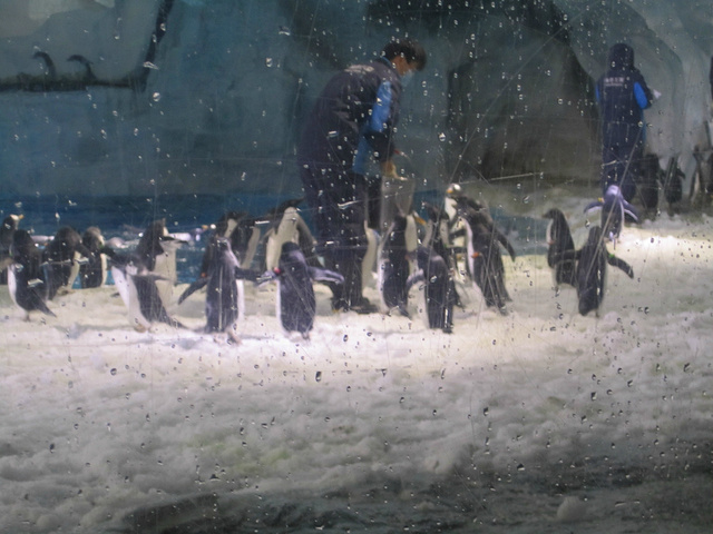 2015第三天早上八点准时出发,直接在高铁站旁