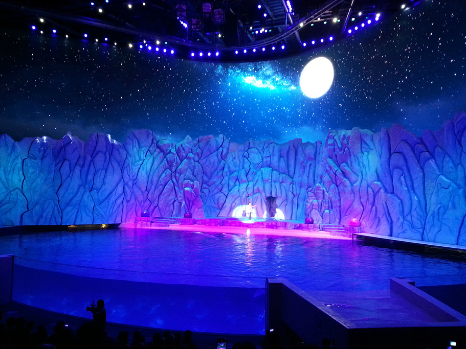 2015建议大家一定选非节假日去,有各种海豚、