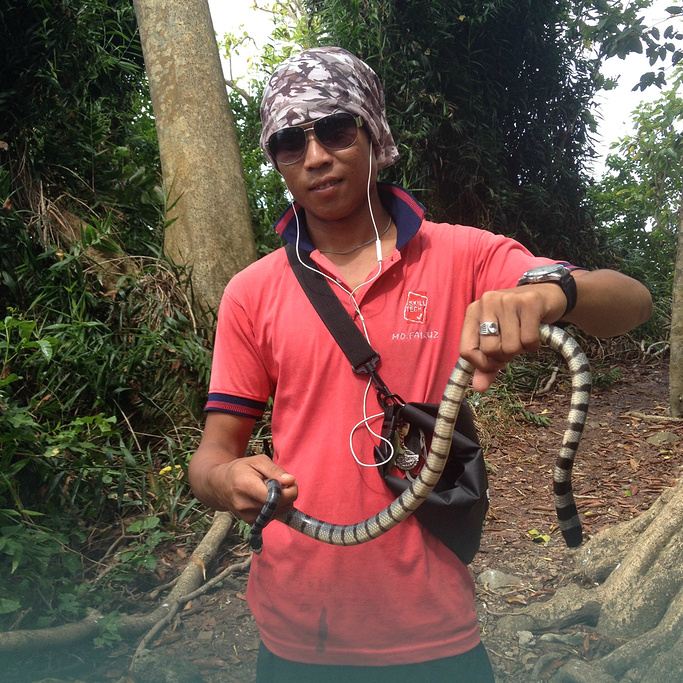 2015蛇岛和我们想象的不一样啦,并非满岛都是