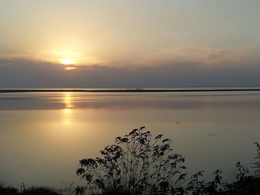 2015有空闲时间的话，可以就近住在君山区_东洞庭湖评论 - 去哪儿攻略社区