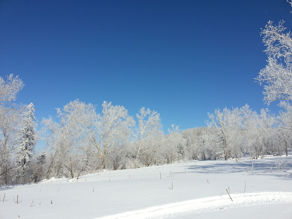 2015,东北寻雪之旅