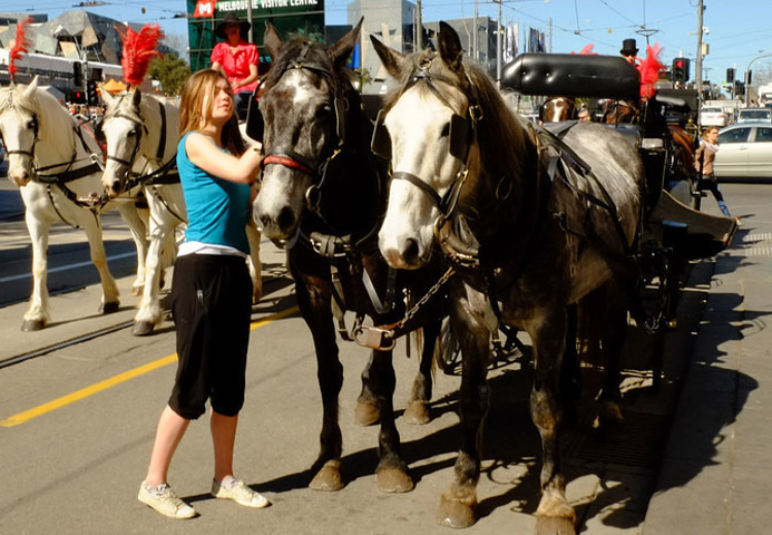 2015还是整个澳洲最早的火车站_福林德街火车