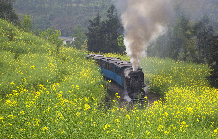 2015嘉阳小火车在乐山市犍为县芭沟镇,从泸州