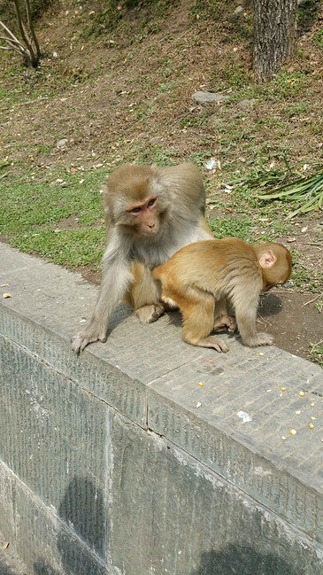一场你我重逢的旅程,武当山,大理,西双版_十堰
