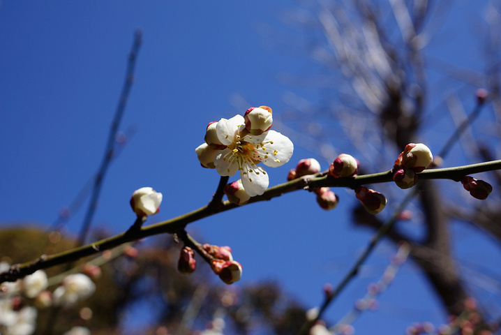 2015日本酒店大部分是十点退房,我们先退了房