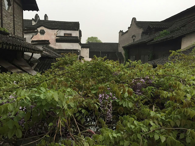天攻略等青色-游西塘乌镇杭州西湖_嘉兴旅游linbo烟雨图片