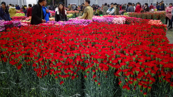 2015交易市场照片,中国30%的鲜花来自这个地