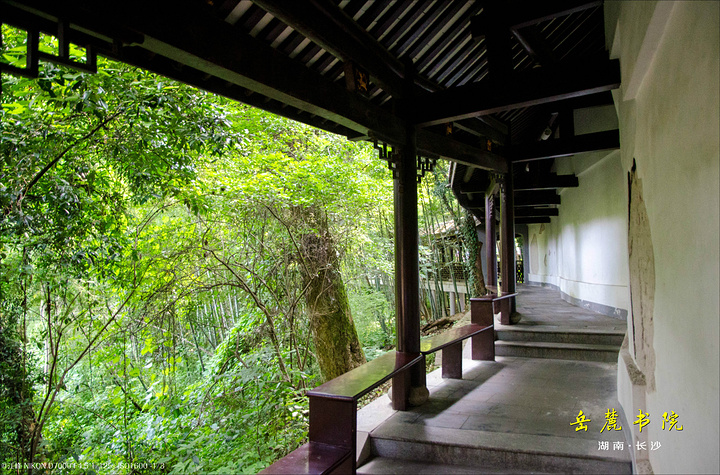 参观守御书楼,我们来到书院风景绝佳的地方——百泉轩,因为地处岳麓山