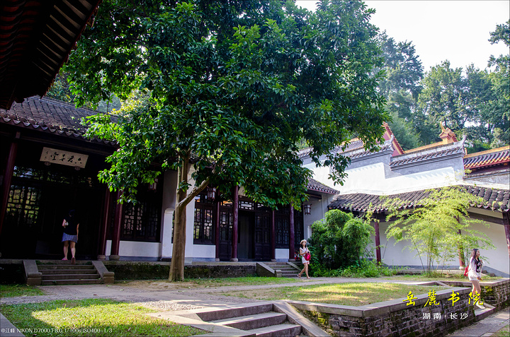 参观守御书楼,我们来到书院风景绝佳的地方——百泉轩,因为地处岳麓山