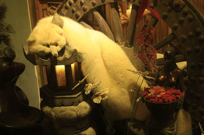 疯子疯行-江苏、浙江、上海_杭州旅游攻略_自