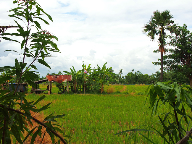 我的8天8夜清迈清新毕业旅行_清迈旅游攻略