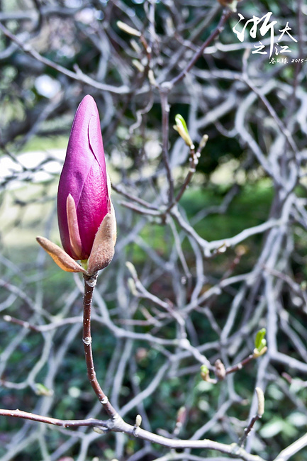 吃在江南--杭州苏州上海_杭州旅游攻略_自助游