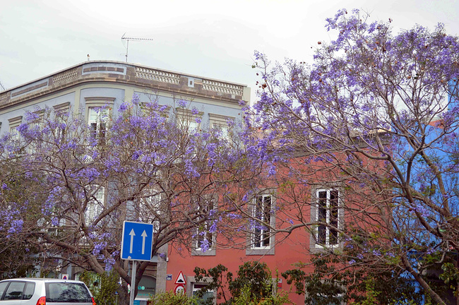 热情西班牙(下)_加的斯旅游攻略