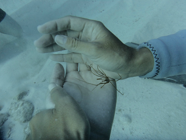 去墨西哥感受玛雅文明_坎昆旅游攻略