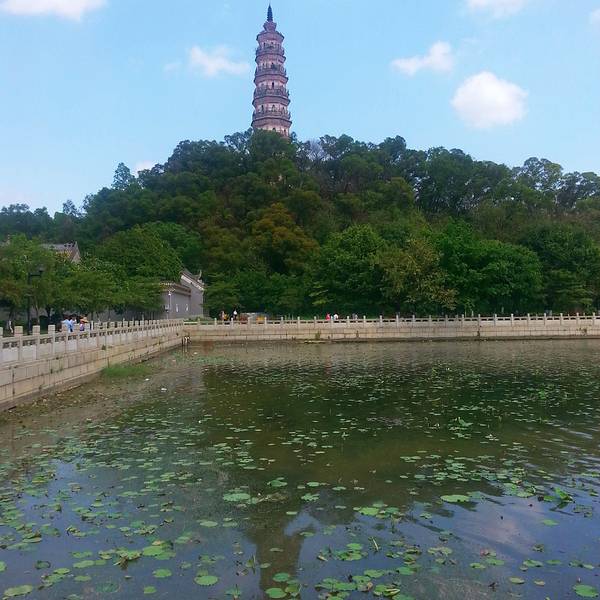 顺峰山公园