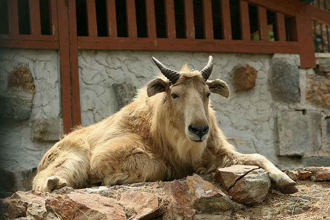 2015大连森林动物园_旅游攻略_门票_地址_游