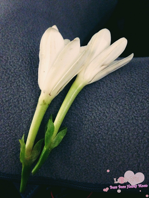 原来我蓝色见过从未--大溪攻略拉波拉岛_大溪地波逃脱升级版1密室图片