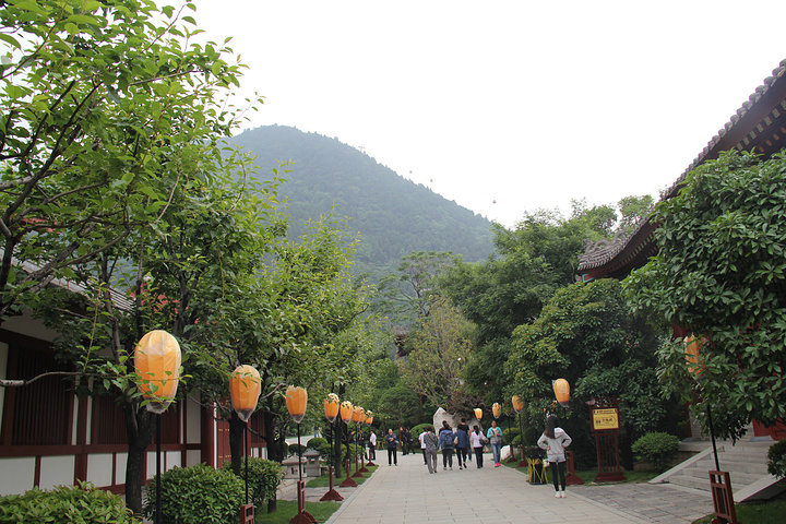 2015值得一去的西安景区_华清池评论