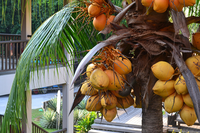 马来西亚的毕业旅行_槟城旅游攻略