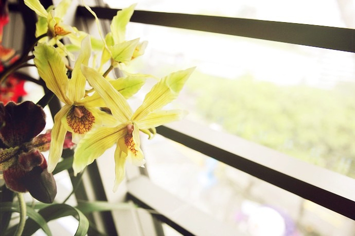 2015一定是在新加坡买是最划算的_乌节路评论