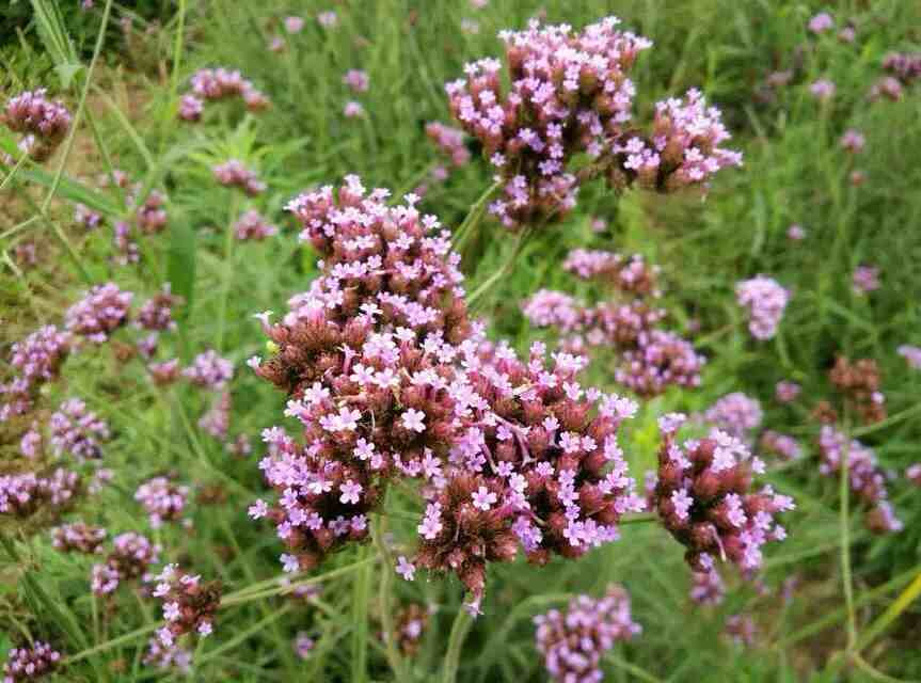 2015枸杞岛_旅游攻略_门票_地址_游记点评,舟