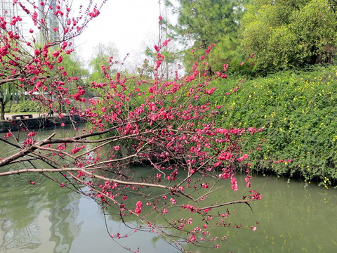 2015绍兴游记_旅游攻略_攻略_古城_地址点评祗园旅游门票图片