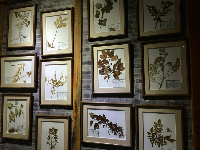 2016最好问清发车时间_台儿庄古城评论 - 去哪