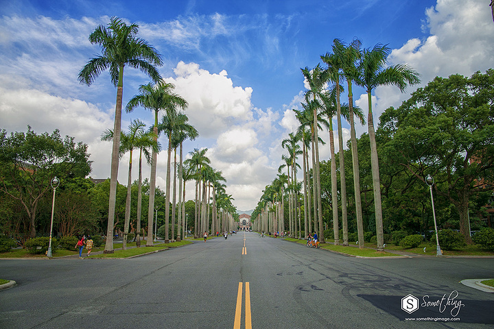 2016这里居然用来停自行车_国立台湾大学评论