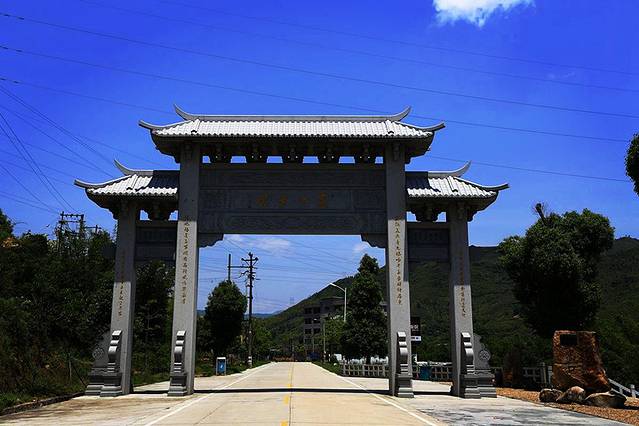 嵩口镇萝卜萝卜2关金54保卫攻略第图片