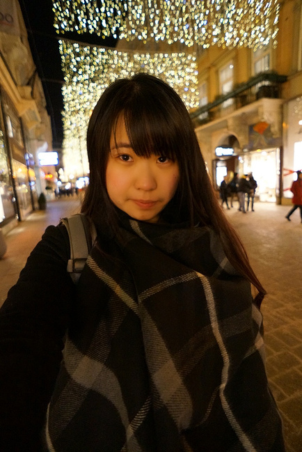 (维也纳+巴黎+波尔多)欧洲六日游_维也纳旅游