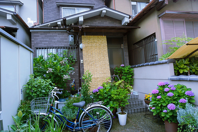 我和日本有个约定_京都旅游攻略