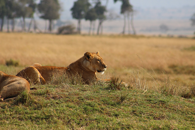 独自一人 畅游肯尼亚_内罗毕旅游攻略_自助游攻略_去哪儿攻略社区