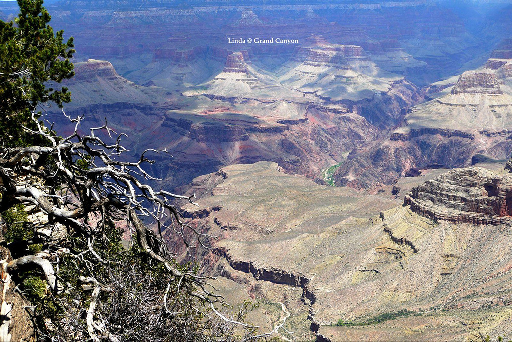 2015Mather Point_旅游攻略_门票_地址_游记点