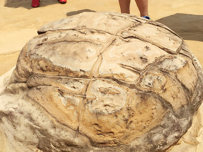 不走寻常路 台湾九天自由行_宜兰旅游攻略