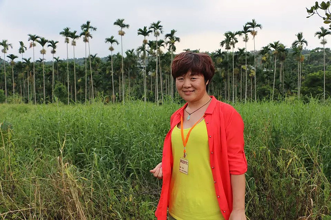 8天7夜跟团游:夫妻双双游台湾~_台北旅游攻略