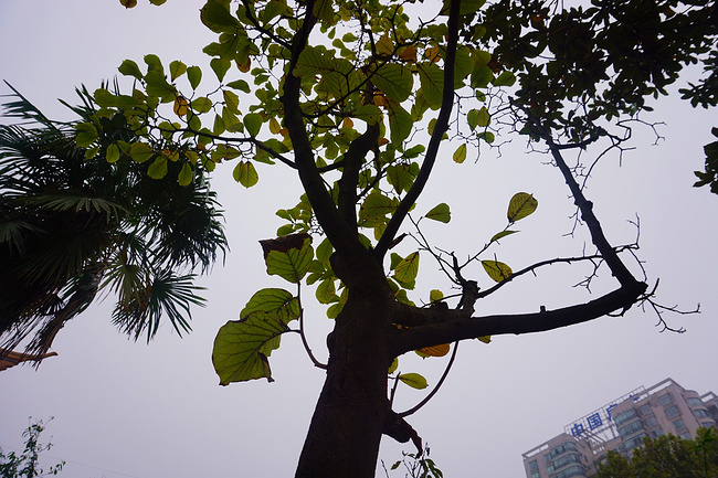人杰地灵的襄阳攻略_襄阳v攻略电脑_自助游攻攻略版古城逃脱密室图片