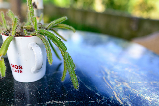 冬日家庭台湾游_花莲旅游攻略_自助游攻略_去