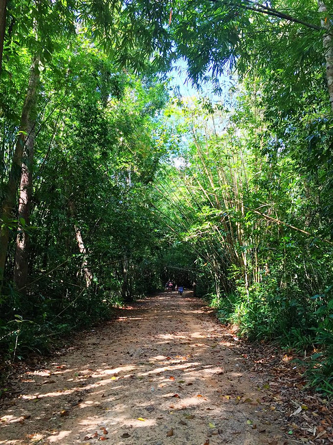 【泰国】一往打尽泰南北--最实用私房攻略_清