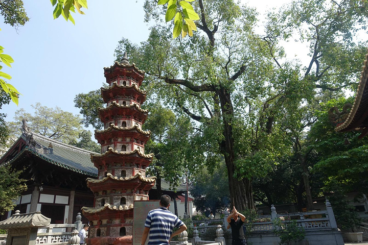 西门口地铁站往北走不了几步就到光孝寺,"未有广州城先走光孝寺" 的那