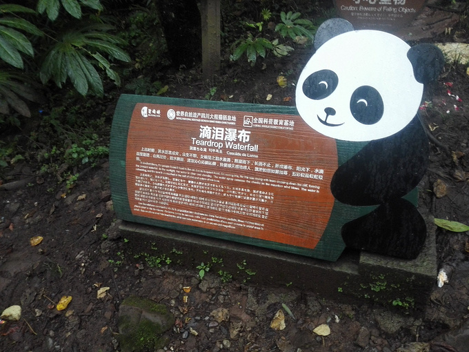 day1 起床吃的4.5元--北大门出去电脑城方向磨子桥地铁站(每个人46元)--一站新南门就到了--C口出前方10m左右 路上多半电瓶车撞了吵架一堆人围观--路上人稀稀拉拉--很多人上班--外卖,饭店,各种商铺--药店,饭馆--派出所,朋友路上晕车了 看了高德--往西南走--高架上时下面堵车得有快100m了,幸运的是我们这条路不堵,高速路口收费员全天高速运行--感觉没收费--没停车(百度了下--应该不收),这里还是邛崃?? 11:48--大牌子写着在建雅安火车站, 12点到了汽车站--有人晕车想休息--