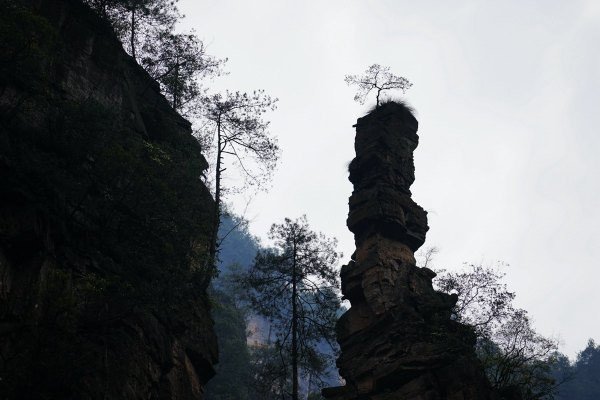 和自助游的区别,旅游必知!_张家界旅行攻略_自攻略的梦小汽车旅游图片