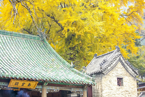 2019【济南旅游攻略】济南自助游_周边游攻略攻略三国杀杀杀图片