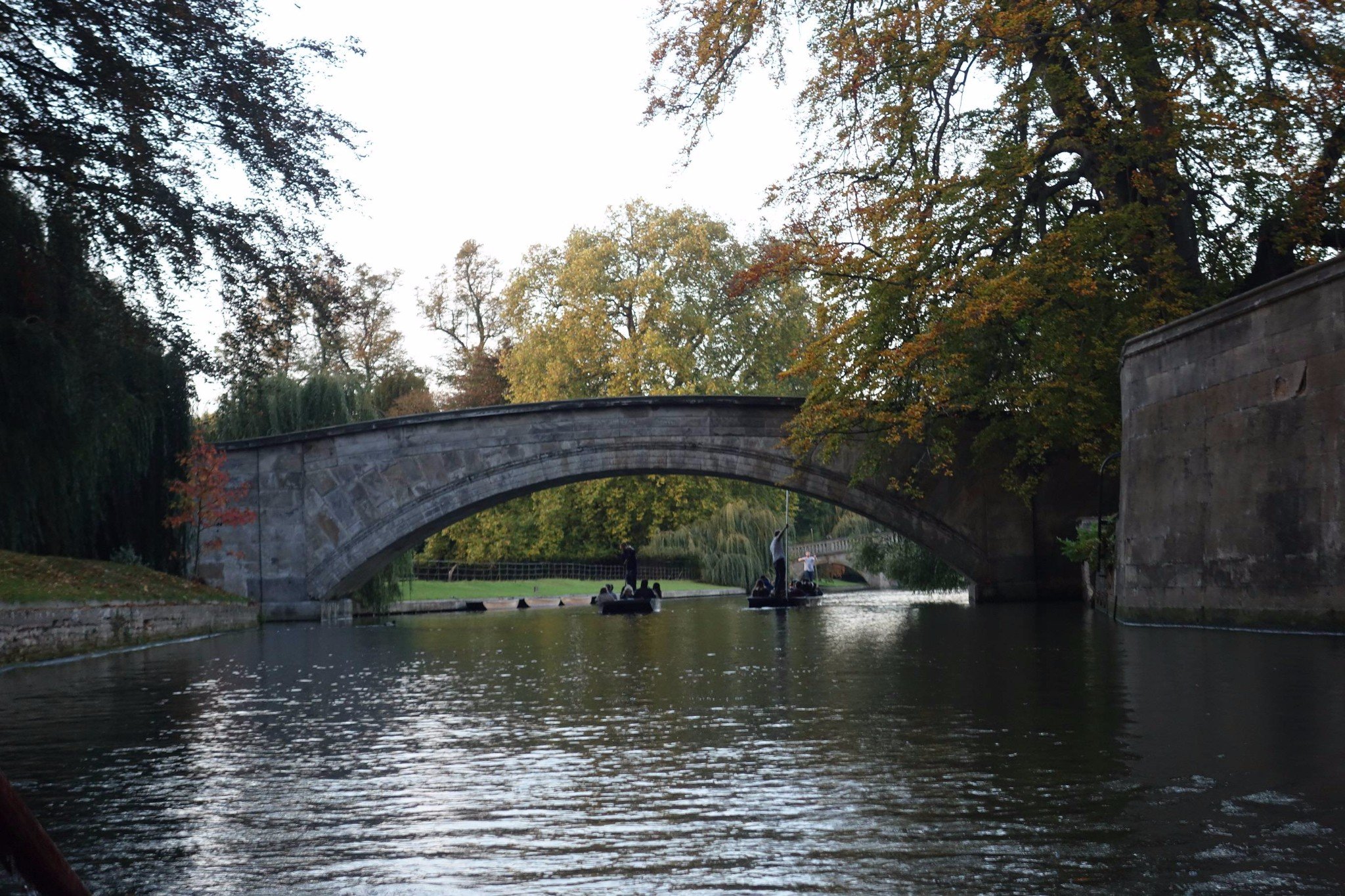 乘坐剑桥游船欣赏沿河的美景并享受一下剑桥泛舟的无穷意境这里绿茵