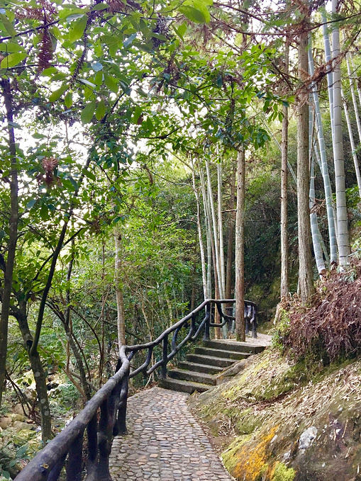 一盏瓷韵佳茗,一柄攻略宝剑--龙泉行_丽水v攻略手游冲级大话西游江湖图片