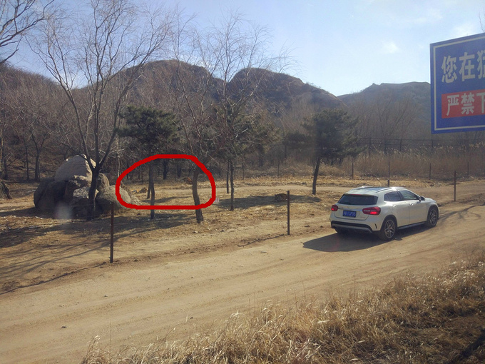 北京野生动物园(大兴)八达岭野生动物园 那个好玩?5月份去可以看到所有的动物吗?(图3) 北京野生动物园(大兴)八达岭野生动物园 那个好玩?5月份去可以看到所有的动物吗?(图5) 北京野生动物园(大兴)八达岭野生动物园 那个好玩?5月份去可以看到所有的动物吗?(图7) 北京野生动物园(大兴)八达岭野生动物园 那个好玩?5月份去可以看到所有的动物吗?(图9) 北京野生动物园(大兴)八达岭野生动物园 那个好玩?5月份去可以看到所有的动物吗?(图11) 北京野生动物园(大兴)八达岭野生动物园 那个好